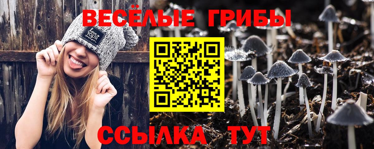 Псилоцибиновые грибы мухоморы  Галлюциногенные грибы мицелий  Улан-Удэ  Вход с VPN 